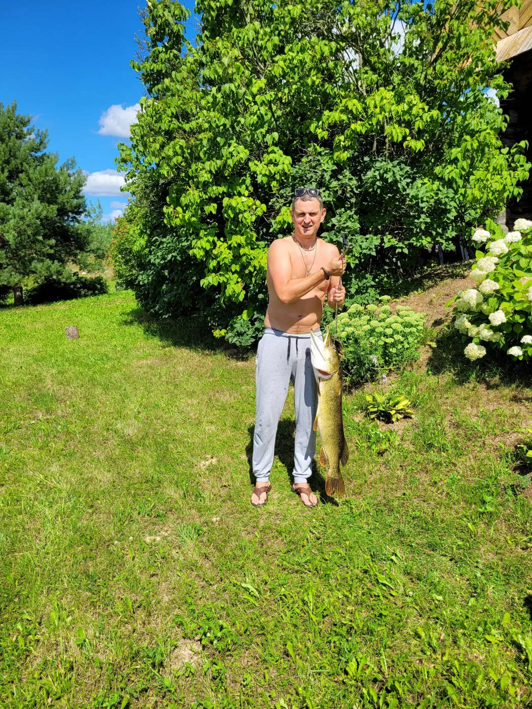 Spearfishing 1